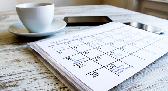 Registro 7 dias gratis